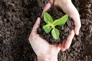 About Nhà Tái Chế 