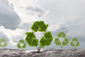 Lợi ích từ việc tái chế nhựa cho tương lai