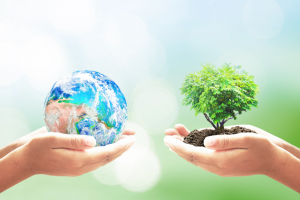 Làm thế nào để hình thành thói quen sống xanh? 