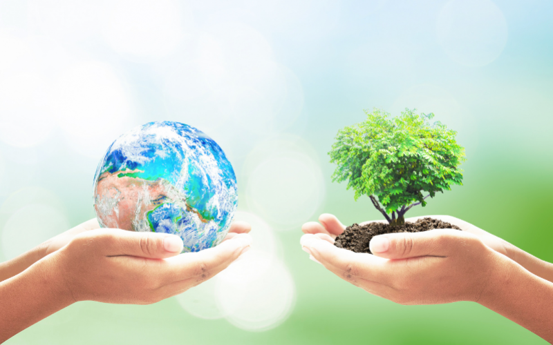 Làm thế nào để hình thành thói quen sống xanh? 