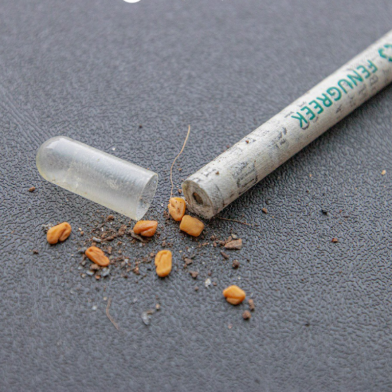 Bút chì màu mầm cây